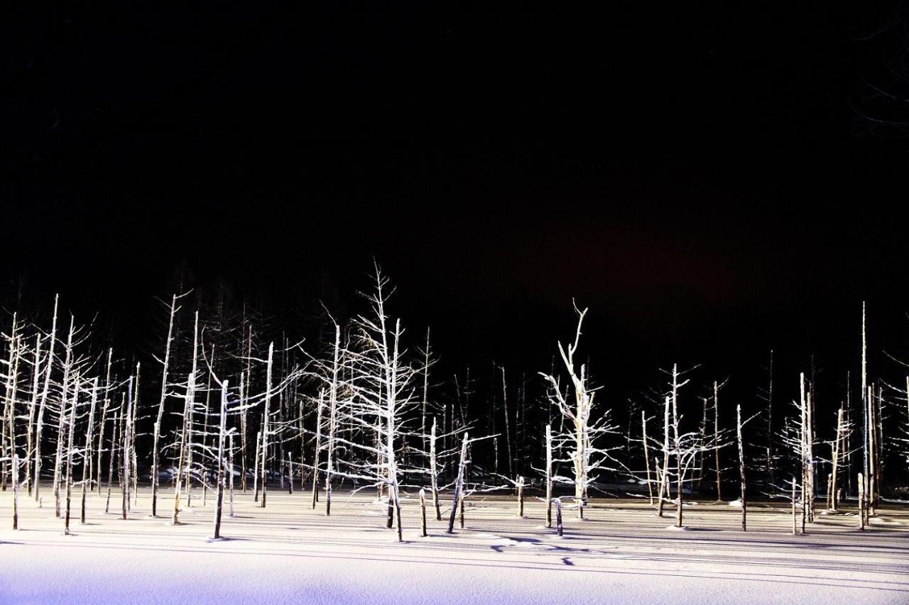 Stay In Tokiwa Asahikawa Dış mekan fotoğraf